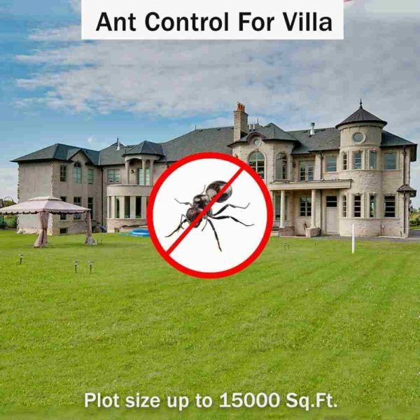 Ant control services for villa at Hygienedunia
