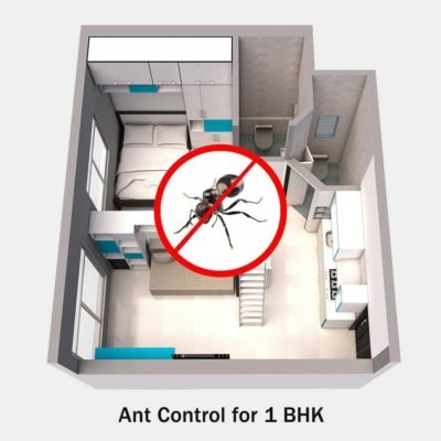 Ant Control Service for 1 BHK