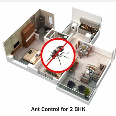 Ant Control Service for 2 BHK