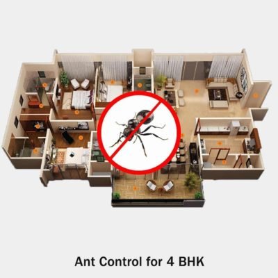 Ant Control Service in House near me for 4 BHK