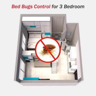 Bed Bugs Control for 3 Bedrooms at Hygienedunia
