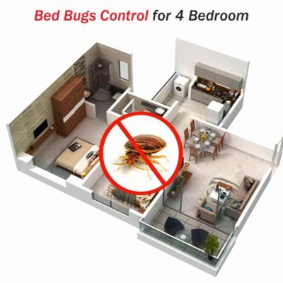 Bed Bugs Pest Control Services for 4 Bedrooms near me at Hygienedunia