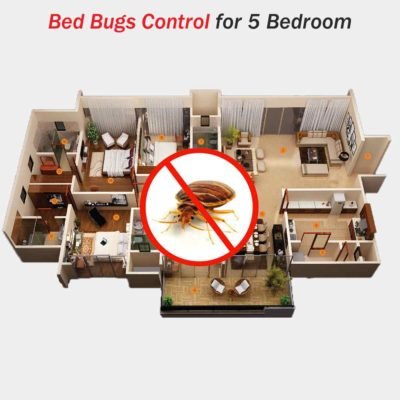 Bed Bug Control Spray for 5 Bedrooms at Hygienedunia