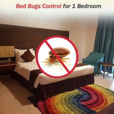 Bed Bug Control Services near me for 1 Bedroom at Hygienedunia