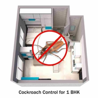 Cockroach Control Service for 1 BHK