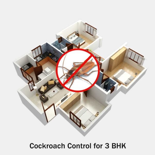 Cockroach control for 3 bhk at Hygienedunia
