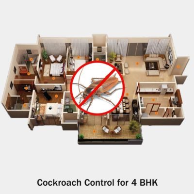 Cockroach Treatment Service for 4 BHK