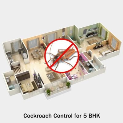 Cockroach Pest Control near me for 5 BHK