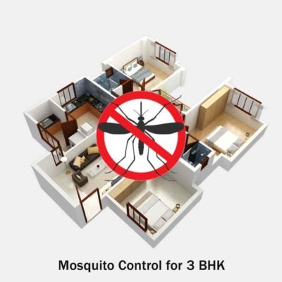 Mosquito Control Services for 3 BHK