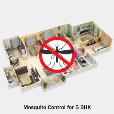 Mosquito Pest Control for 5 BHK