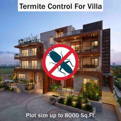 Termite Control Service in Villas