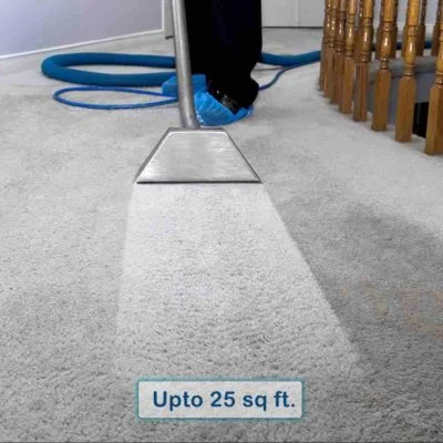 Home Carpet Cleaning Services near me at Hygienedunia
