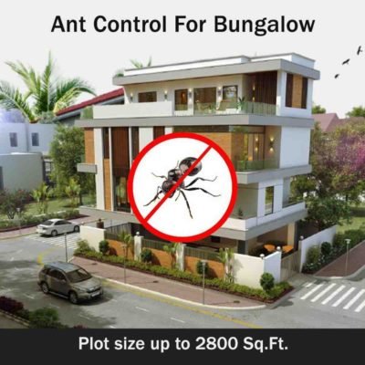 Secure Ant Control Services