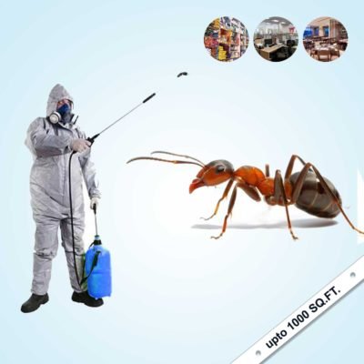 Commercial Ant Control Service near me