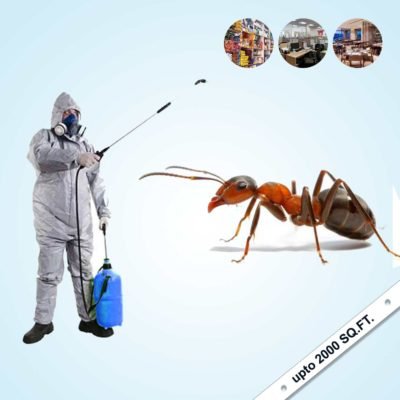 Ant Control Services in India