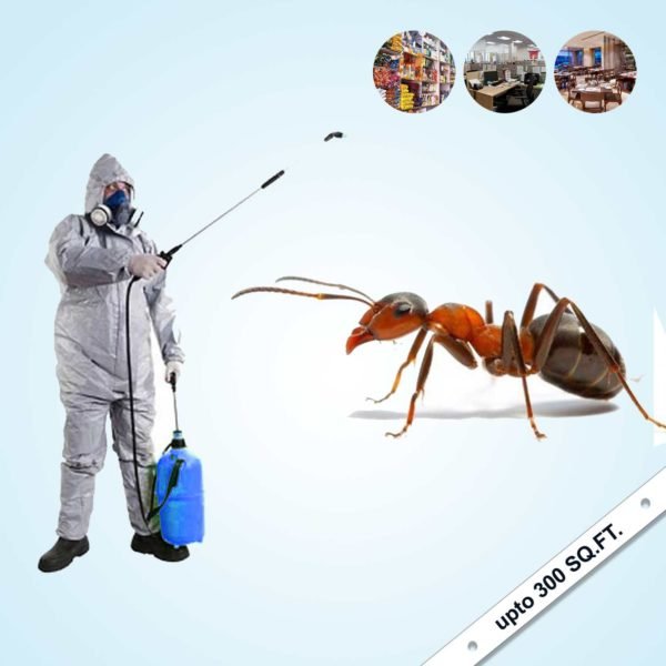 Ant Control for Home and Offices