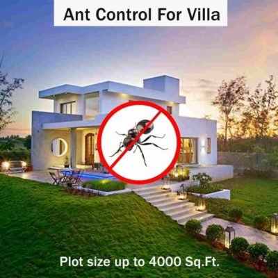 Ant Control Spray