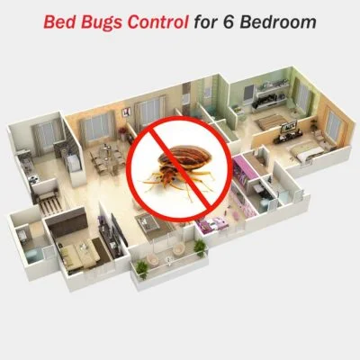 Bed Bugs Spray Control for 6 Bedrooms at Hygienedunia