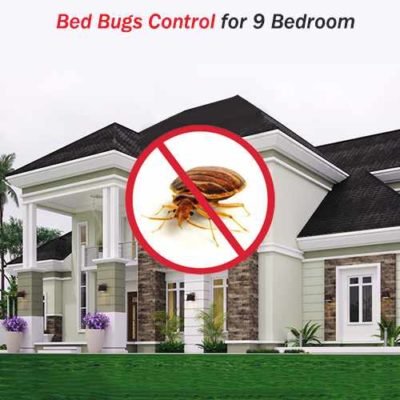 Bed Bugs Treatment Services for 9 Bedrooms at Hygienedunia