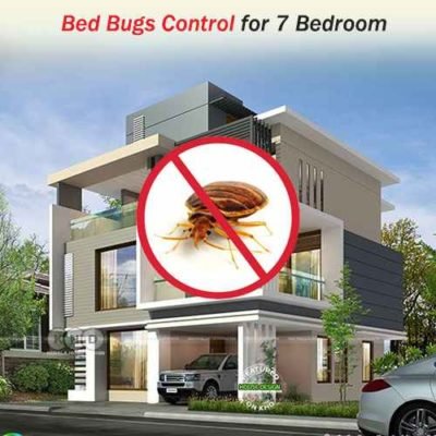 Professional Bed Bug Treatment