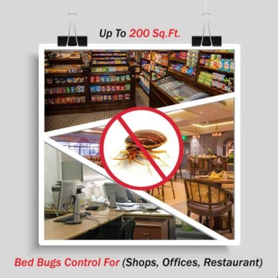 Bed Bugs Control near me for Shops Offices Restaurant up to 200 sq. ft. area by Hygienedunia