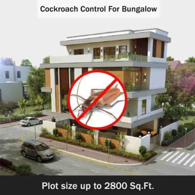 Cockroach Pest Control at Home near me for plot size up to 2800 square feet