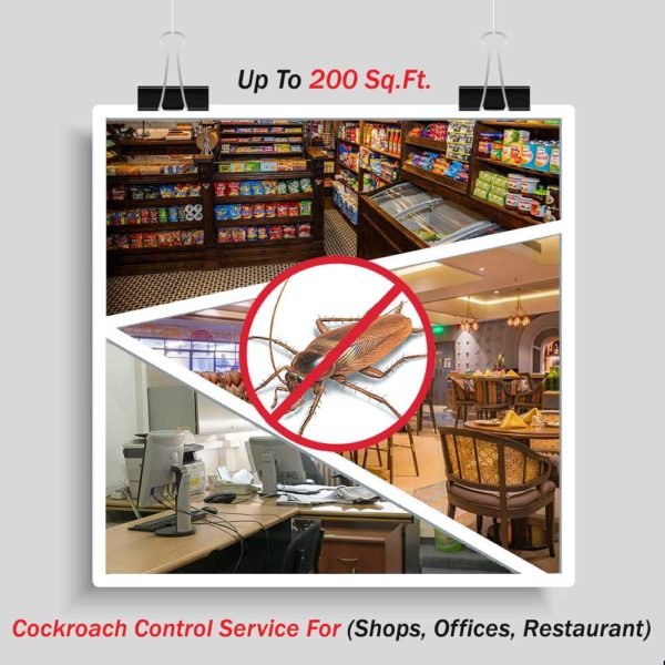 Cockroach Control for Shops