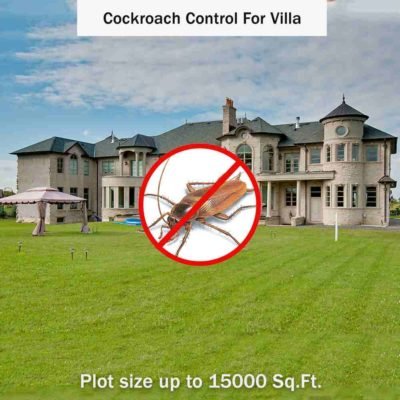 Cockroach Control Service in Villas near me for plot size up to 15000 square feet at Hygienedunia