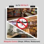 Mosquito Control for Restaurant
