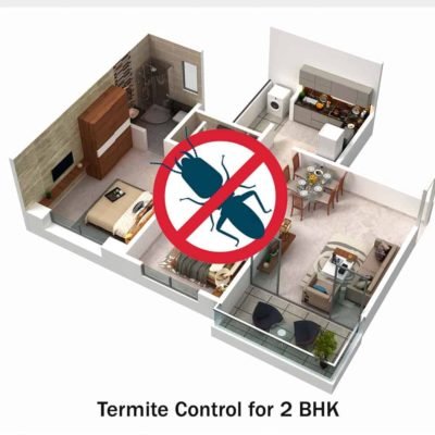 Termite Control Spray