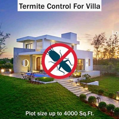 Termite Control for Villa