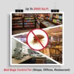 Pest Control Services Bed Bug Treatment