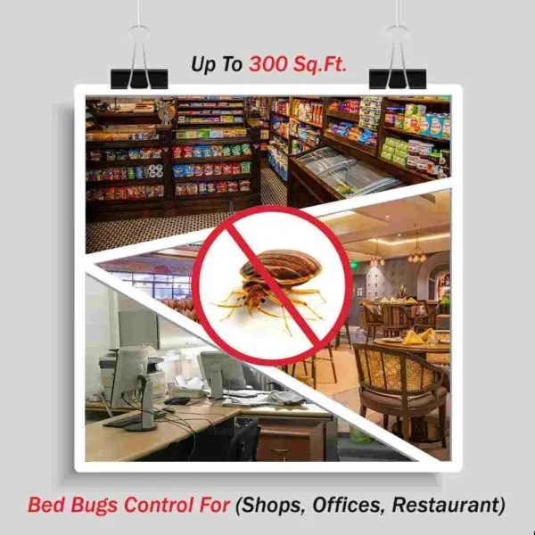Services To Kill Bed Bugs