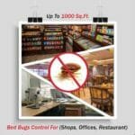 Control Bed Bugs Service
