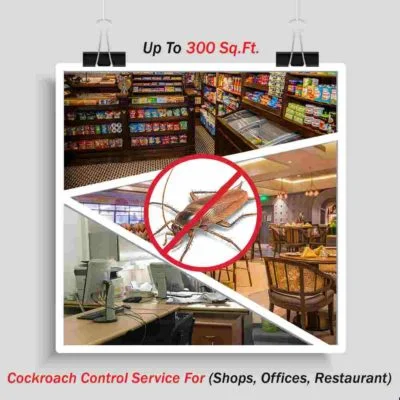 Cockroach Control for Restaurant Up To 300 Sq. Ft.