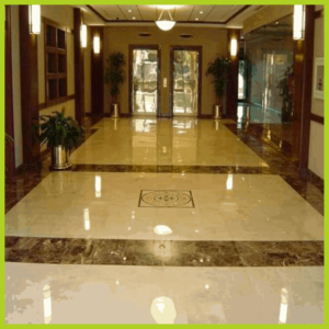 Floor Cleaners General area cleaning