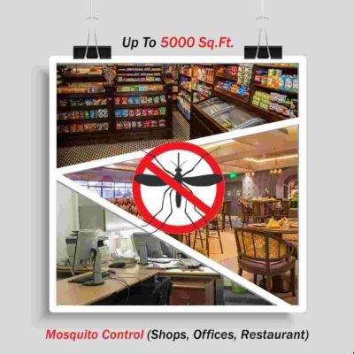Mosquito Treatment Service for Shops Offices Restaurant up to 5000 sq. ft. area