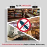 Termite Control Up To 1000 Sq. Ft.