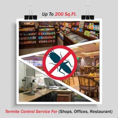 Termite Control up to 200 sq. ft.