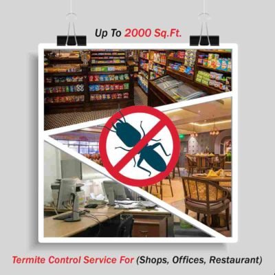 Termite Control (Shops, Offices, Restaurant ) up to 2000 Sq. Ft.