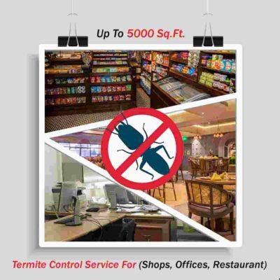 Termite Control Up To 5000 sq. ft.