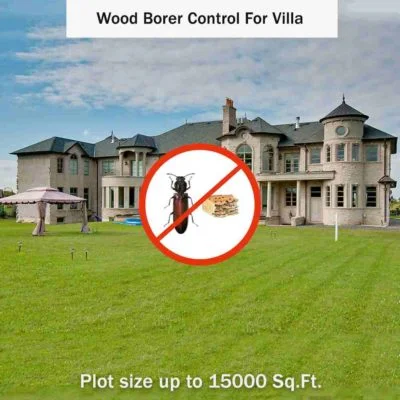 Wood Borer Control Service in Villa