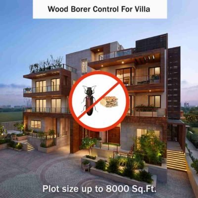 Wood Borer Control Service in Villas at hygienedunia