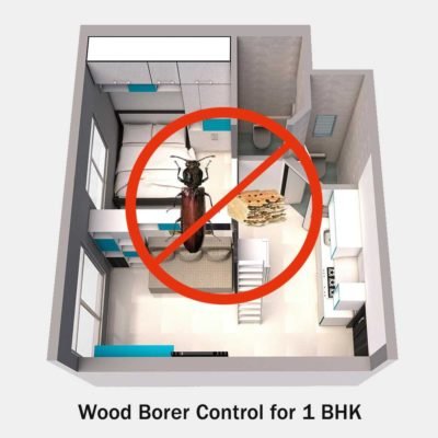 Wood Borers Control Services