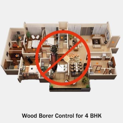 Wood Borers Control