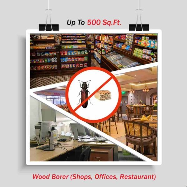 Wood Borer Control for Restaurant | Offices | Shops | up to 500 sq. ft. area