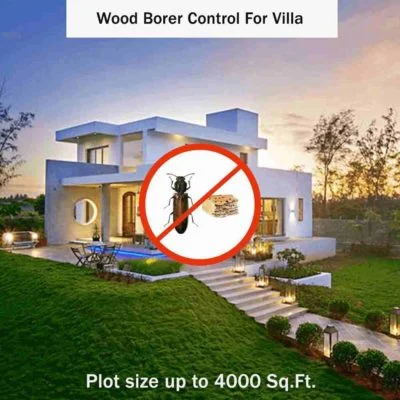 Wood Borer Control for Villa Plot size up to 4000 sq. ft.