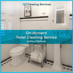 Best Toilet Cleaning, Toilet cleaning service On-demand at Hygienedunia (without Bathtub)