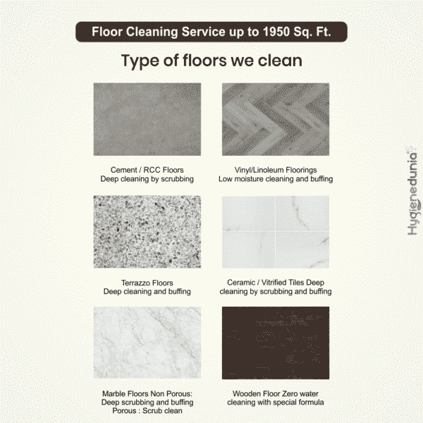 Tile cleaning services cost, tile floor cleaning up to 1950 Sq. Ft by Hygienedunia