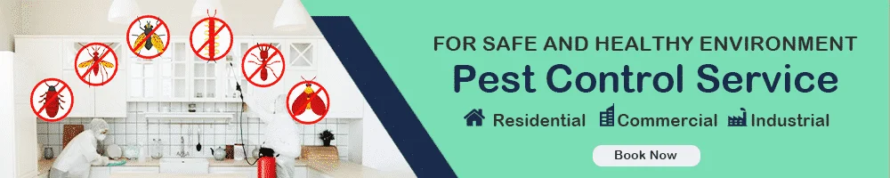 Pest Control Services by Hygienedunia